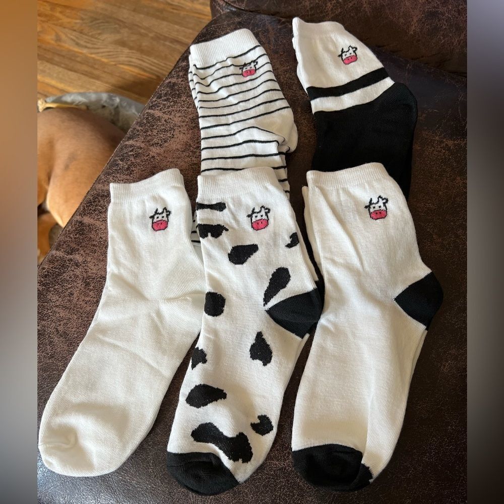 Adorable Cow Novelty Ankle Socks 5 Pair Set